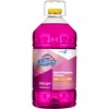 Fraganzia Multi-Purpose Cleaner, CloroxPro, Spring Scent, 175 Fluid Ounces (Package