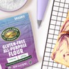 Nature's Path Organic Gluten Free All Purpose Flour, 32 oz