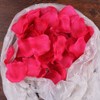 Doutop Rose Petals Red Artificial Silk Flower Rose Petals /