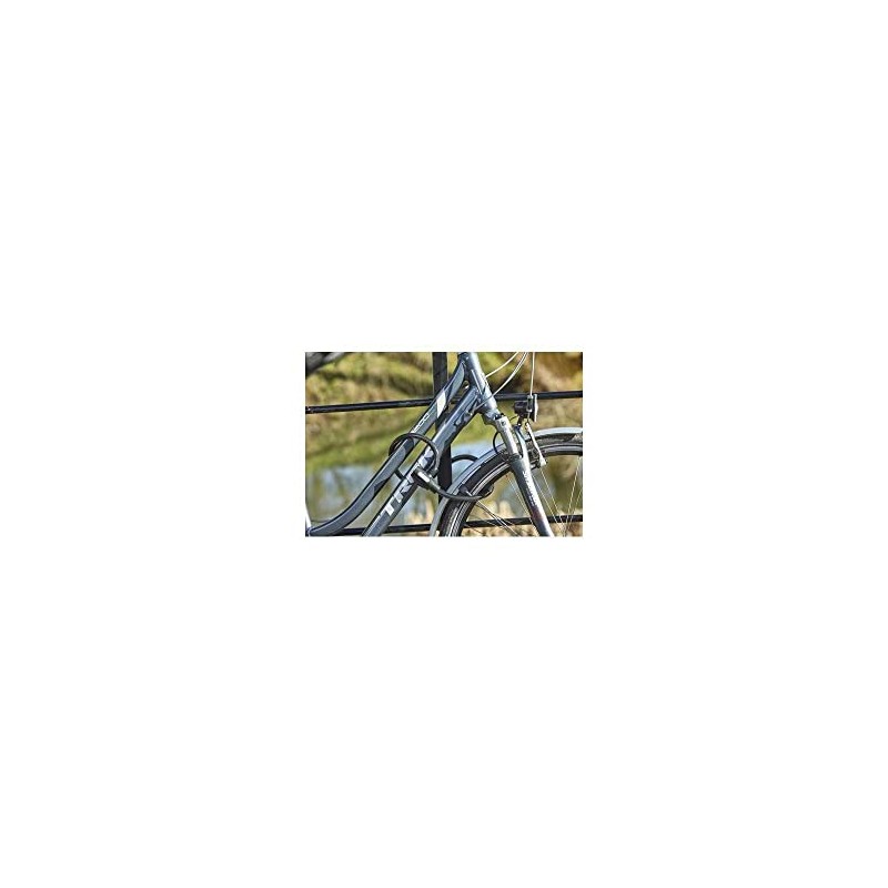 MOTTEZ LBXA113Q Cable Lock with Key, 100 cm