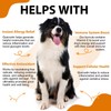 Quercetin for Dogs - Allergy Relief Support - Liquid Drops