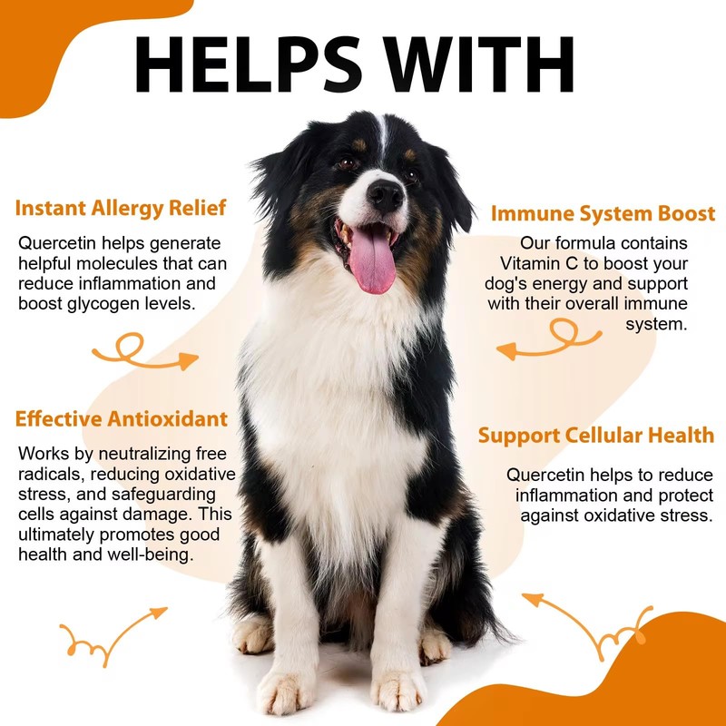 Quercetin for Dogs - Allergy Relief Support - Liquid Drops