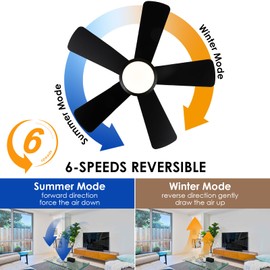 Ceiling Fans with Lights,Modern Low Profile Ceiling Fan with Remote Control,5 Dual-Sided Blades,Reversible DC Motor,40" Black Small Flush Mount Ceiling Fan for Bedroom Indoor/Outdoor Use