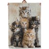 Mounidso Cat Blanket, Kitten Flannel Blanket Gifts for Women, Soft