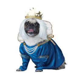 California Costumes Pet Queen Of Bones Dog Costume Costume