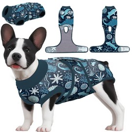 PetWarm Female Dog Spay Recovery Suit,Dog Recovery Suit, Pet Surgical Recovery Snugly Suit Bodysuit for Abdominal Wounds Skin Disease,Dog Bodysuit,Marine Animal Patterns,Blue,2XL