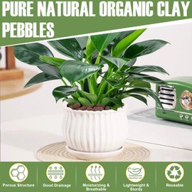 FURWEY 16 LBS Organic Clay Pebbles 4mm-16mm Leca for Plants 100% Natural Hydroton Clay Pebbles for Hydroponic Growing Gardening Orchids Drainage Decoration Aquaponics