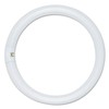 Satco S6500 Fc8t9/Cw/Rs 22w Fluorescent W/ 4 Pin Base -