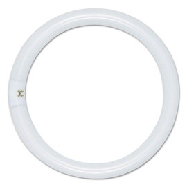 Satco S6500 Fc8t9/Cw/Rs 22w Fluorescent W/ 4 Pin Base - Cool White