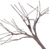 TOPPERFUN Miniature Landscape Tree Trunk 4cm Exquisite Model Branches Set