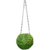 SuperMoss (29348) Kokedama Planter, 6", Fresh Green