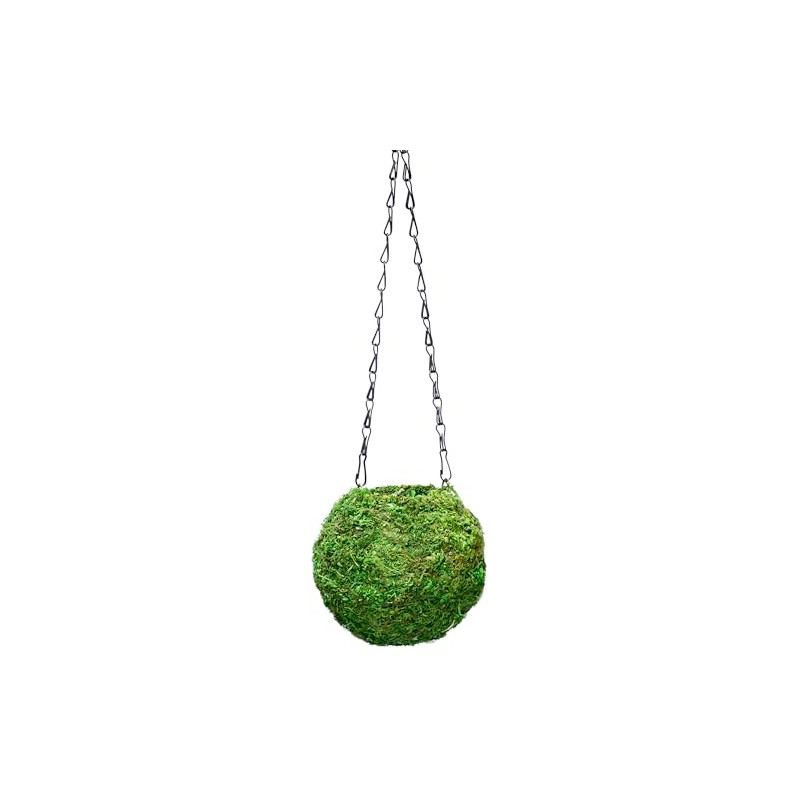 SuperMoss (29348) Kokedama Planter, 6", Fresh Green