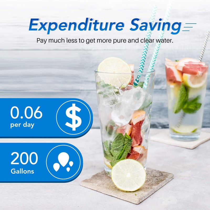 ICEPURE 4396508 Refrigerator Water Filter Replacement for Whirlpool EDR5RXD1, EveryDrop