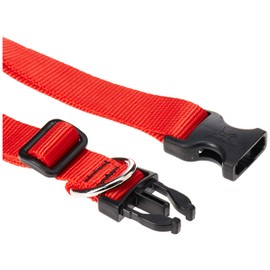 LupinePet 1 Inch Adjustable Dog Collar for Medium to Large Dogs