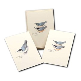 Earth Sky + Water - Peterson’s Nuthatch Assortment Notecard Set - 8 Blank Cards with Envelopes (4 Each of 2 Styles)