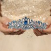 Rannyrena Sparkling Crystal Tiara Crown for Women Gorgeous Rhinestone Bridal