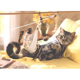 Green Tea Bottles Stick for Face AA109