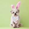 ADOGGYGO Easter Dog Bandana, Carrot Rabbit Easter Egg Dog Scarf,