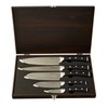 Berghoff Antigua 5Pc Knives With Case German Steel Etched Blade