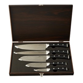 Berghoff Antigua 5Pc Knives With Case German Steel Etched Blade Ergonomically Designed Triple-riveted Handle Sharp & Well Balanced Satin Finish