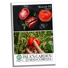 Moscow VR Tomato Seeds, 50 Heirloom Seeds Per Packet, (Isla's Garden Seeds), Non GMO Seeds, Botanical Name: Solanum lycopersicum, Great Home Garden Gift