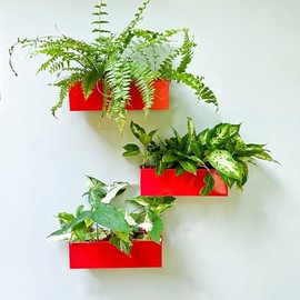 LaLaGreen Wall Planter (3 Pack, 12 Inch) Large Wall Mount Planters for Succulents Red, Wall Hanging Rectangle Metal Flower Pot Long Window Boxes Festive Season Christmas Thanksgiving Decoration Indoor