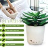 Sleep Plant - Sound Machine - Fan Sounds - White