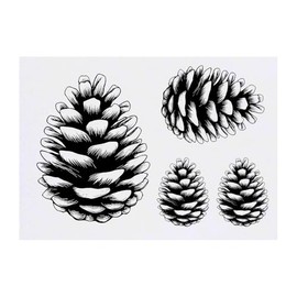 4 x 'Single Pine Cone ' Temporary Tattoos - Water Resistant, Skin-Safe, Non-Toxic Transfers, Mixed Sizes (TO00082414)