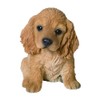 M.E.G Cards & Gifts Vivid Arts - Pet Pals Golden