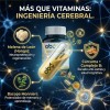 Nootropicos Neuroprotector Con Hongo Melena Leon, L Tirosina, Complejo Vitamina