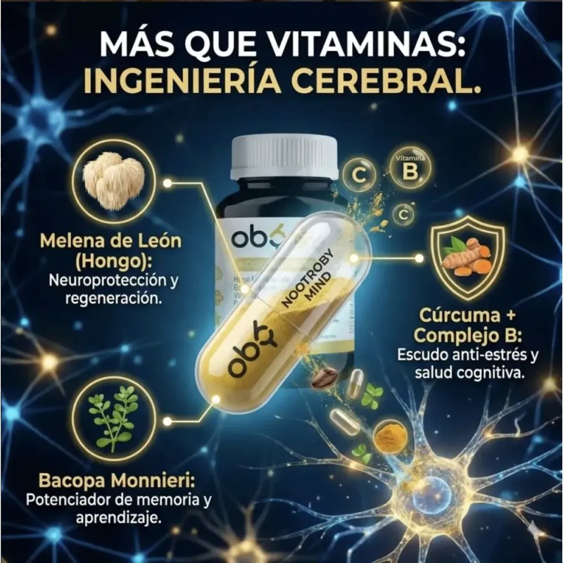 Nootropicos Neuroprotector Con Hongo Melena Leon, L Tirosina, Complejo Vitamina