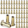 Gdotmely 1/4-20 Multi Grip Rivet Nut Kit, 50pcs Rivet Nuts,