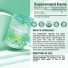 MAJU Organic Spirulina Powder (8oz) Healthcare Dietary Supplement Edible Fitness