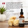 Super Mushroom Lion's Mane Elixir™ – Sugar-Free, Alcohol-Free, Antioxidant Brain