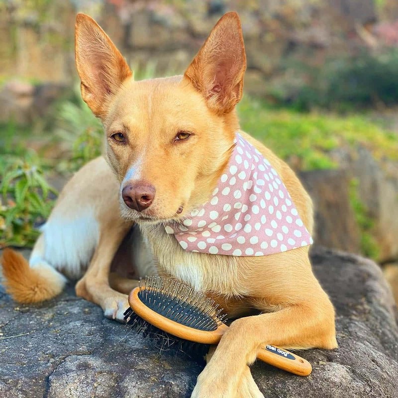 Essential Dog Natural Bamboo Two-Sided Brush for Cats & Dogs,