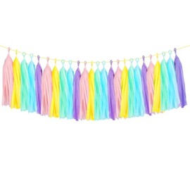 ZYOOO 25pcs Paper Tassel Garlands,Pastel Tassel Garland,Multicolour Tassel Banner Table Decor for Birthday,Wedding,Baby Shower,Bachelorette,Graduation,Anniversary,New Year Party Decorations