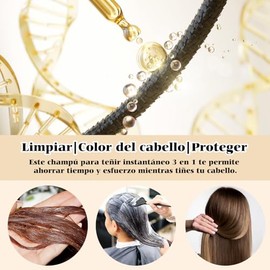 LUSCOR 2pcs Champú Instant Hair Color para Cabello 100ml，Tinte Capilar Champú 3 en 1，Champú para Teñir el Cabello Negro 3 en 1,Coloración a Base en Mi
