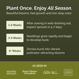 Eden Brothers Zinnia Seeds - State Fair Mix, Non-GMO Seeds for Planting, Packet | Low-Maintenance Flower Seeds, Plant During Spring, Zones 3, 4, 5, 6, 7, 8, 9, 10