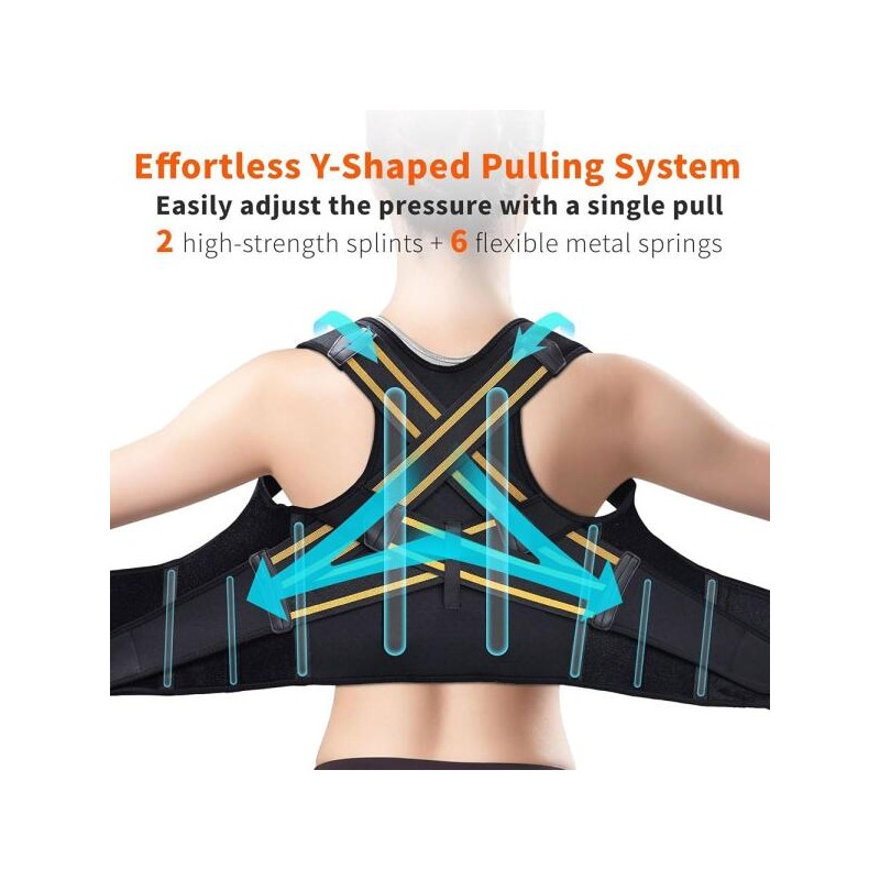 FALCOFIT 남녀용 FALCOFIT 교정기, 즉각적인 허리 조절 가능한 상부 눈에