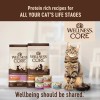 Wellness Core Grain Free Dry Cat Food Turkey Duck Recipe