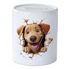 GRAZDesign Funny Money Box Dog - Wall Crack - Money