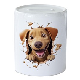 GRAZDesign Funny Money Box Dog - Wall Crack - Money Gift for Adults and Children Made of Ceramic