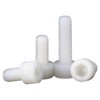 Nylon PA66 Plastic White Color Metric Knurled Hex Socket Head