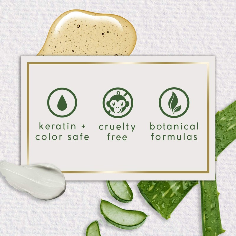 Theorie: Sage - Helichrysum & Plum - Nourishing Shampoo -