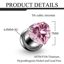 Ruifan Gauges For Ears ASTM F136 Titanium Heart Pink CZ Single Flare Tapers Screw Tunnel Gauges Earrings Ear Expander Stretching Kit Plugs Piercing For Women Men 2G Silver