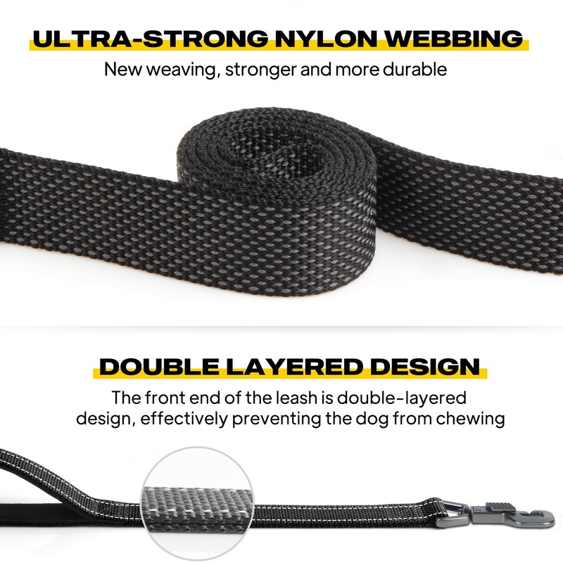 Fida 5 FT Heavy Duty Dog Leash with 2 Comfortable
