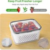 Freshmage Fruit Storage Containers for Fridge with Removable Colander 10