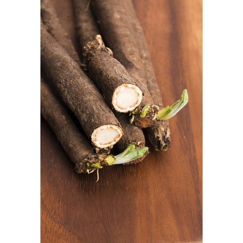 NIKA SEEDS - Vegetable Salsify Black Root - 100 Seeds