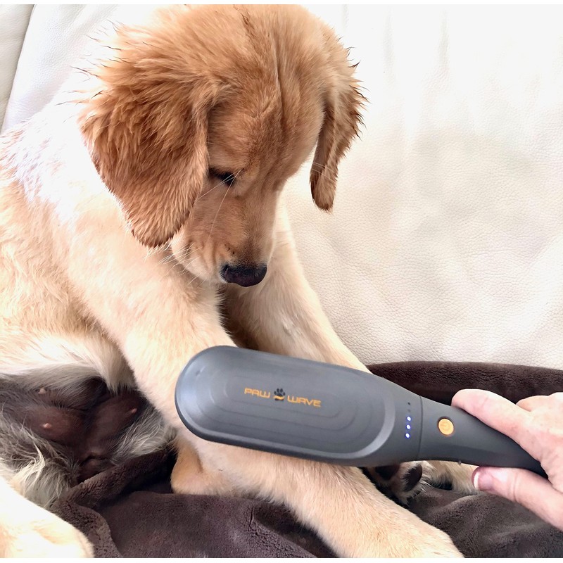 PAW WAVE Buzz Therapeutic Brush Vibration Pet Massager for Dogs