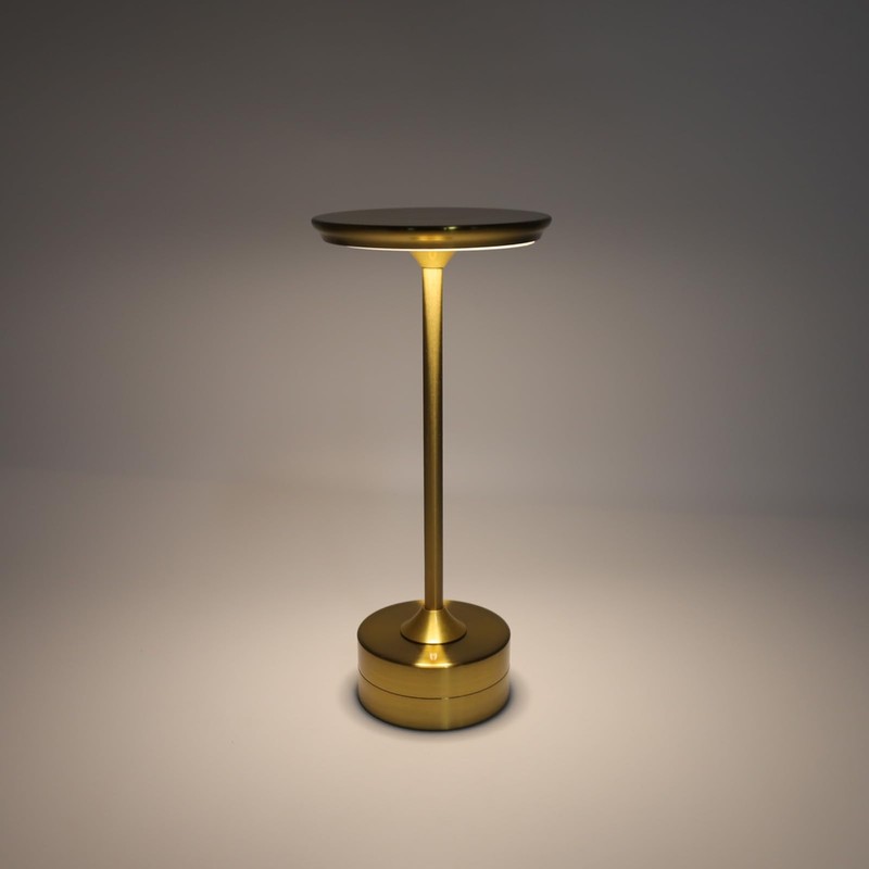 DAUERHAFT LED Table Lamp ,USB C Aluminum Shell Cordless Bedside